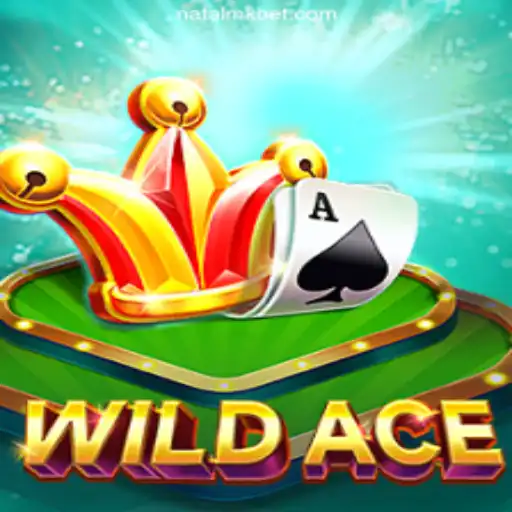 Discover the Thrills of WildAce: A Premier Casino Game